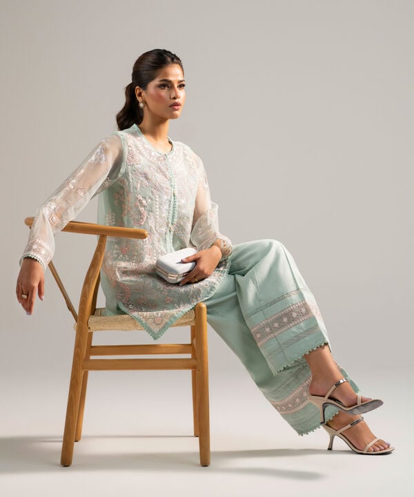 2 Piece - Embroidered Organza Suit