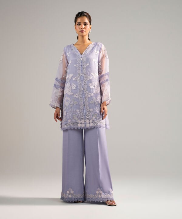 2 Piece - Embroidered Organza Suit