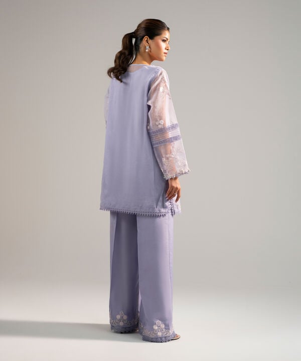 2 Piece - Embroidered Organza Suit