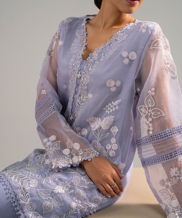 2 Piece - Embroidered Organza Suit