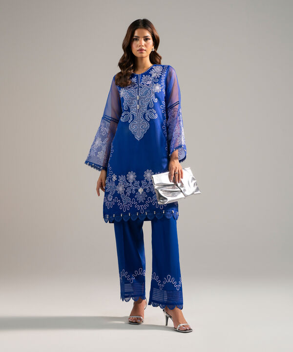 2 Piece - Embroidered Organza Suit