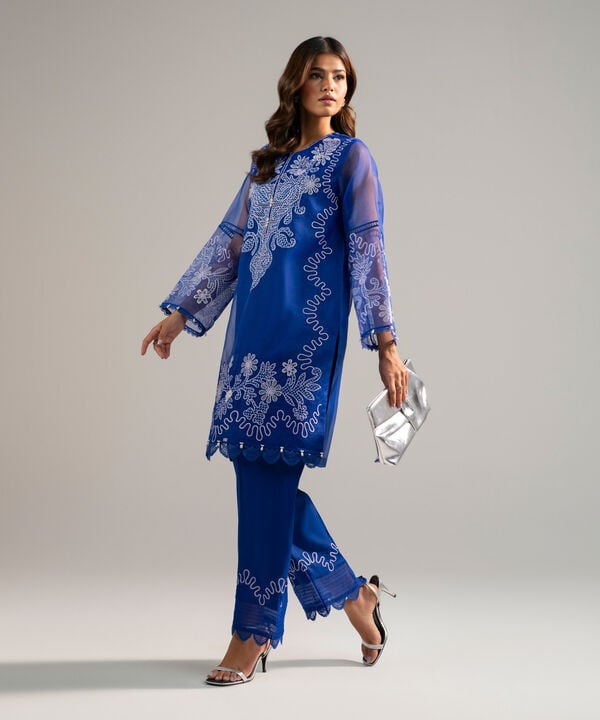 2 Piece - Embroidered Organza Suit