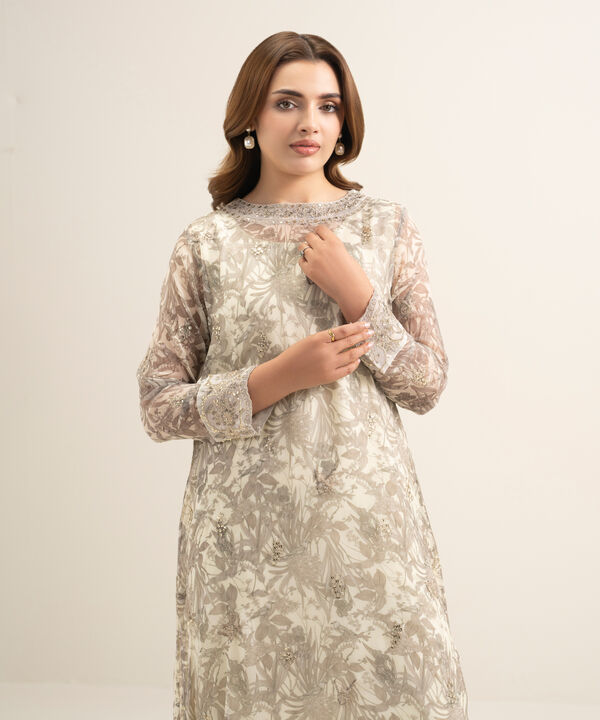 2 Piece - Embroidered Chiffon Suit