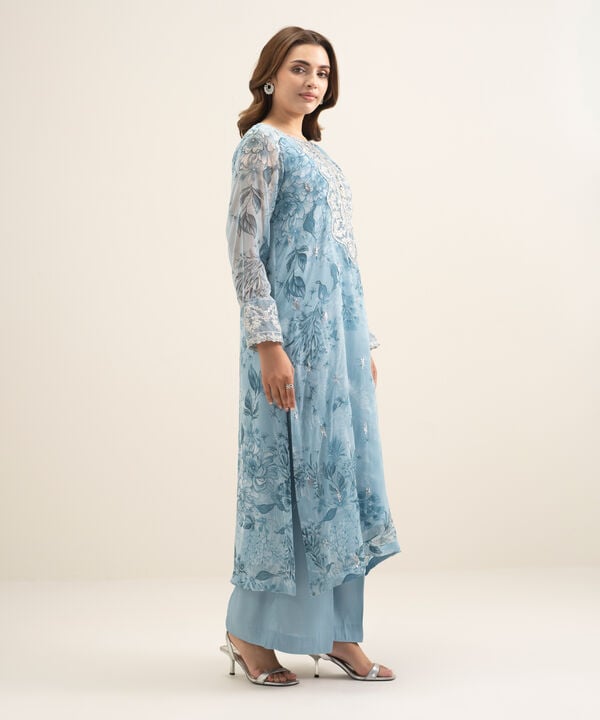 2 Piece - Embroidered Chiffon Suit
