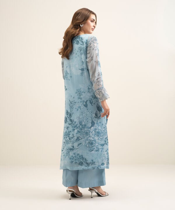 2 Piece - Embroidered Chiffon Suit