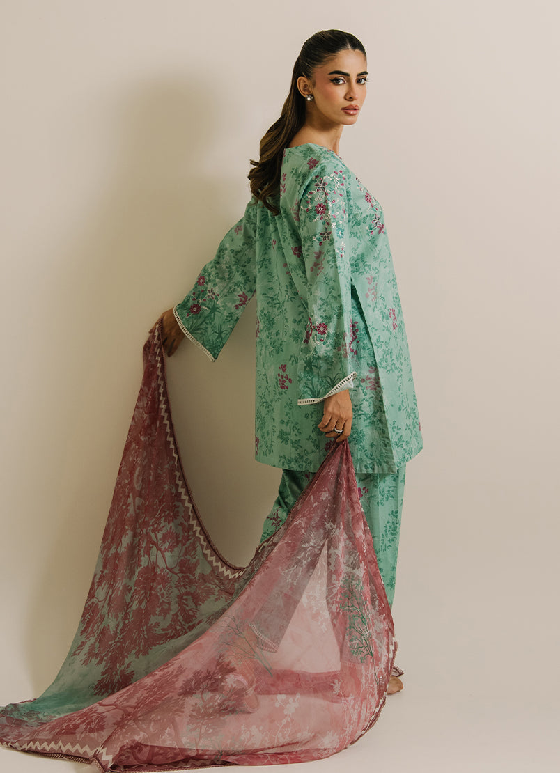 https://cdn.shopify.com/s/files/1/0418/6429/8657/files/2_9f0d0753-5dc3-411b-9876-5e0da0e5e769.jpg?v=1760444797