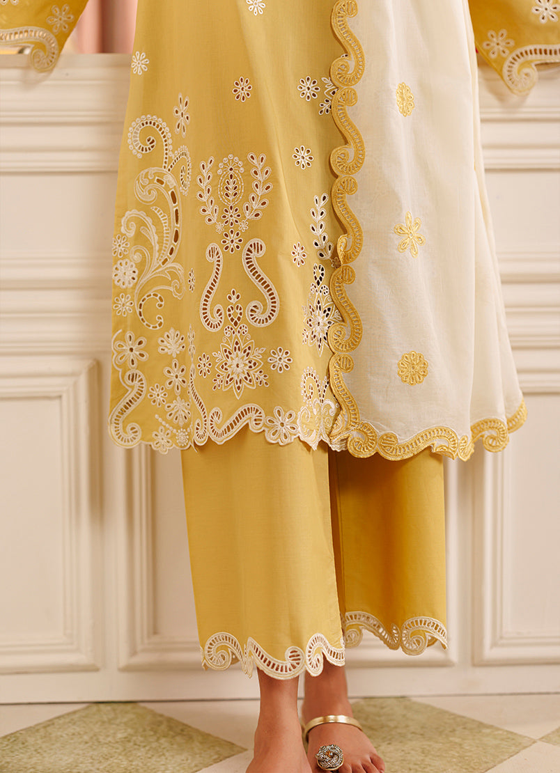 https://cdn.shopify.com/s/files/1/0418/6429/8657/files/2_83c84bbe-3ca2-417c-85fa-6d2c243f484b.jpg?v=1781602938