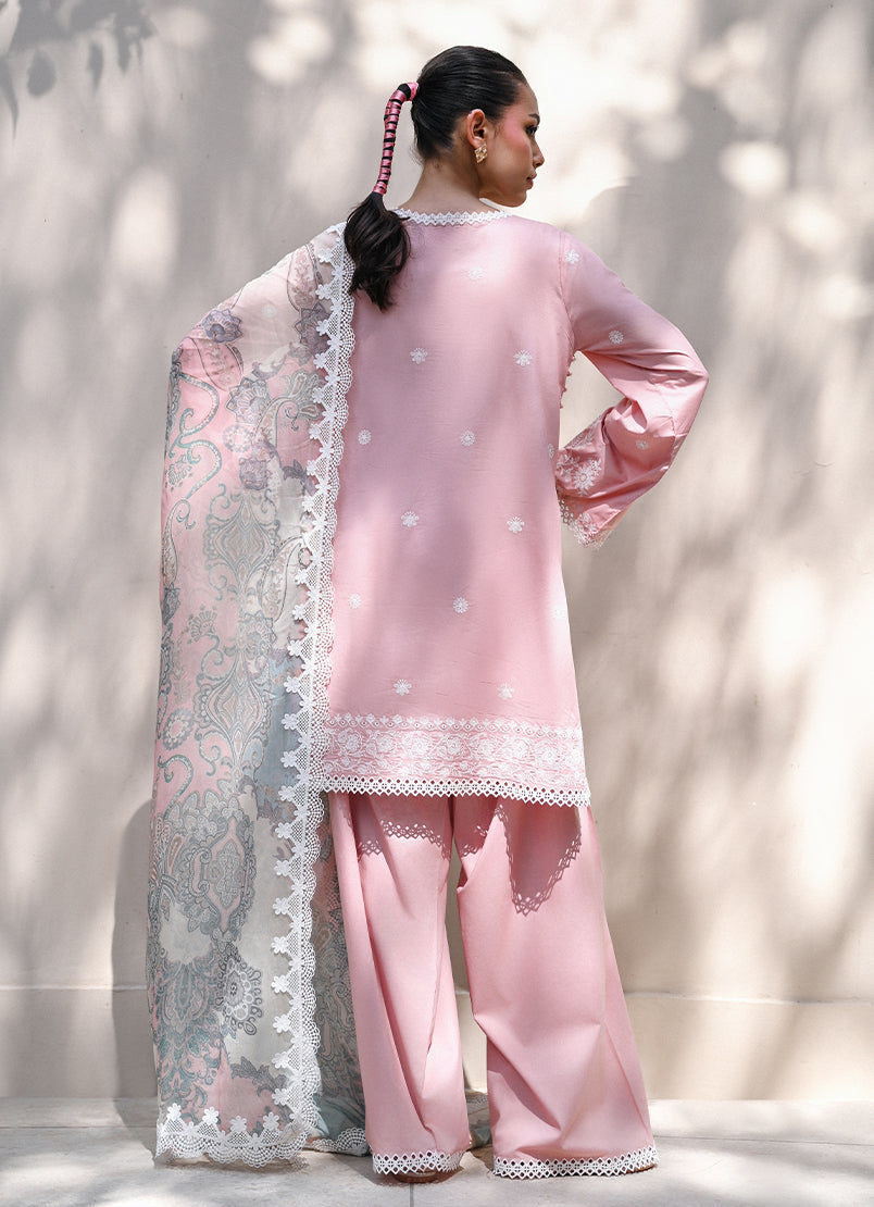 https://cdn.shopify.com/s/files/1/0418/6429/8657/files/2_e0630d3b-c198-4ea7-8ed8-a8222ecbc960.jpg?v=1779345924