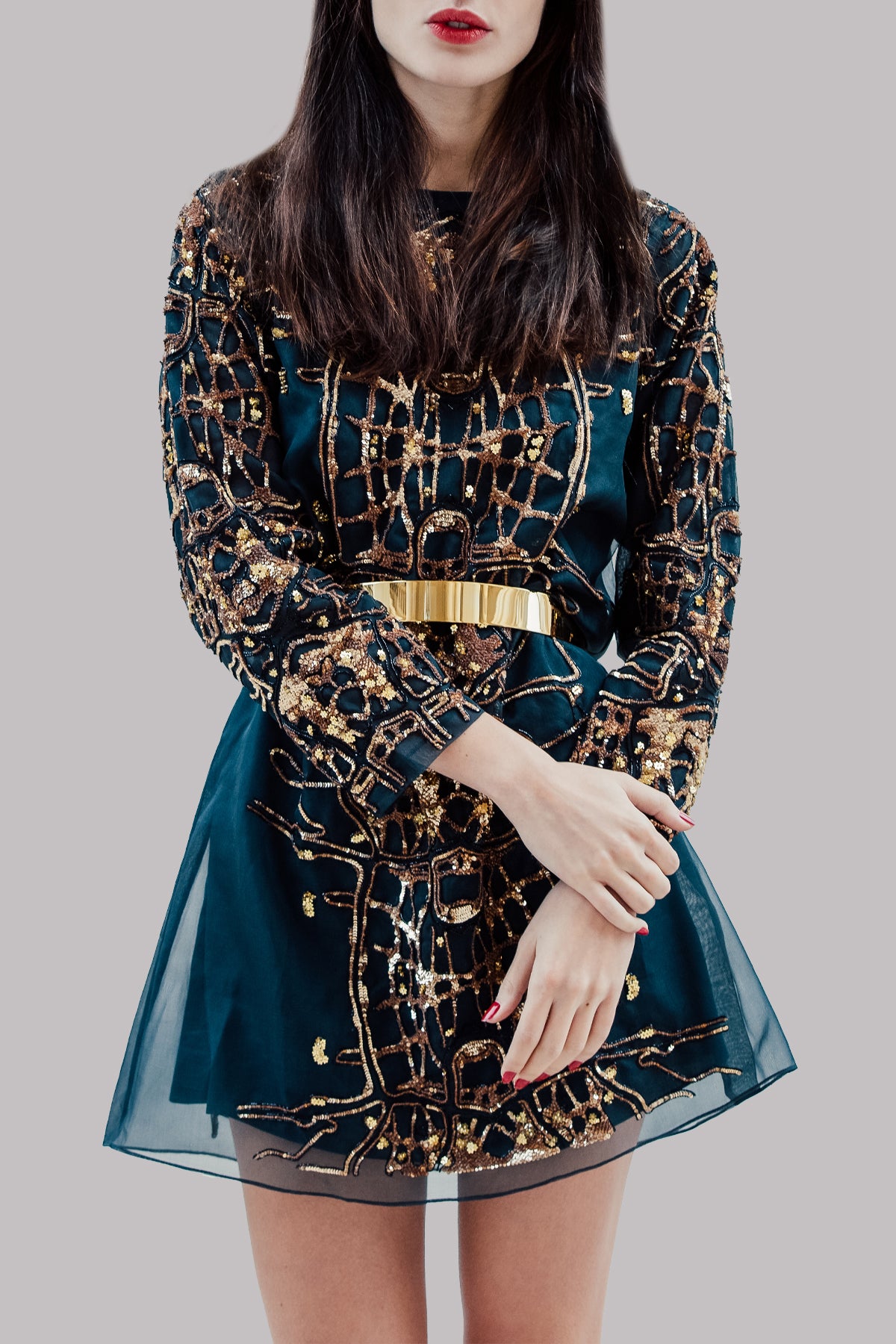 Black Iris Organza Embellished Dress
