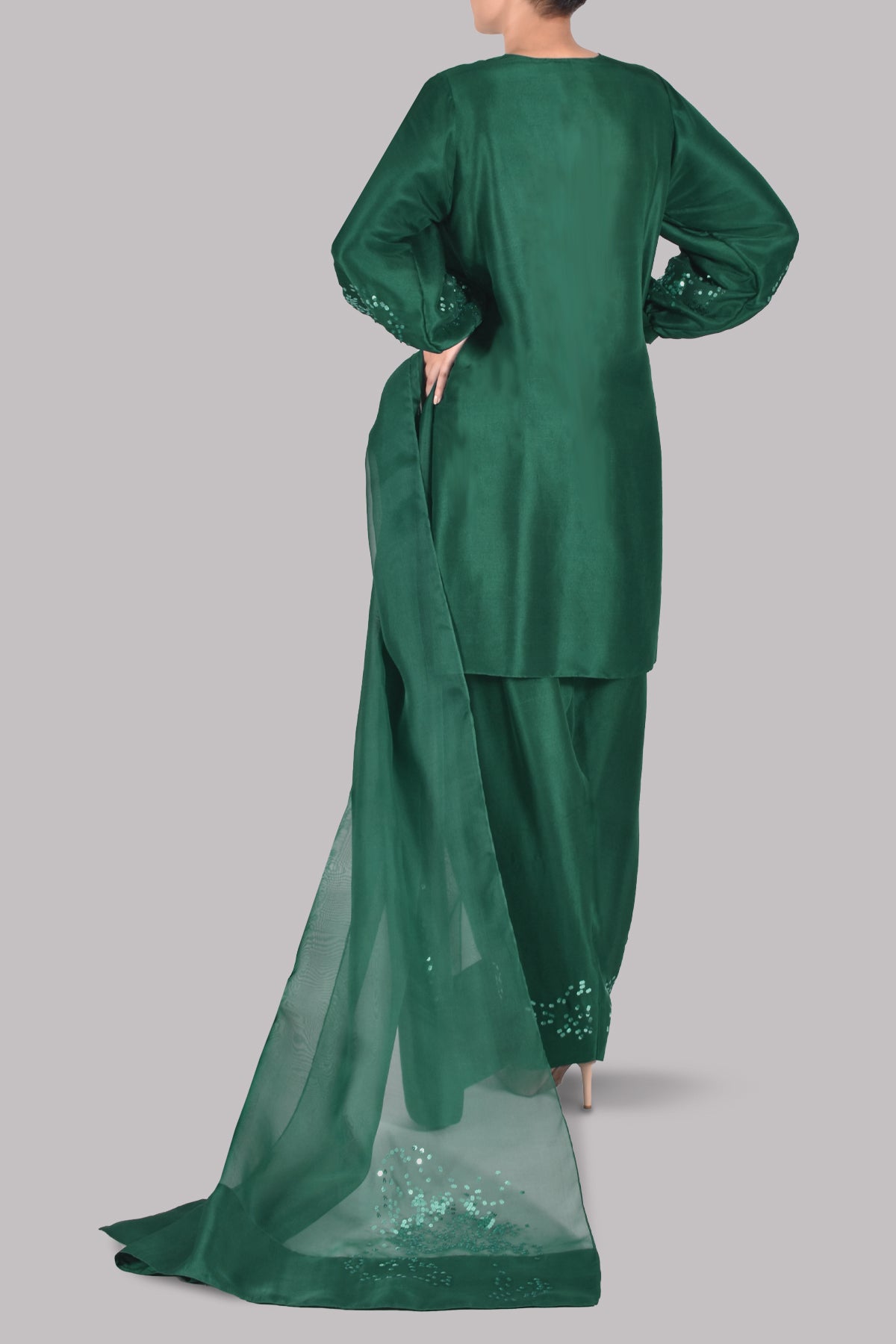 Galapagos Green Embellished Raw Silk Set