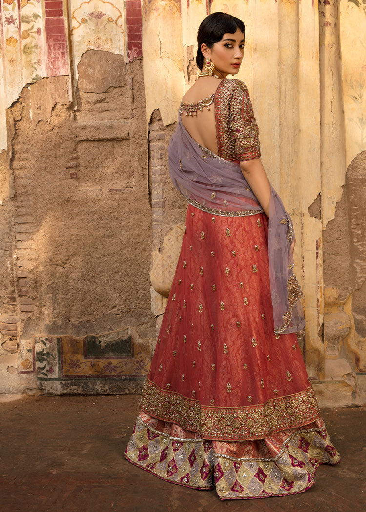 Sajal - (Sample)
