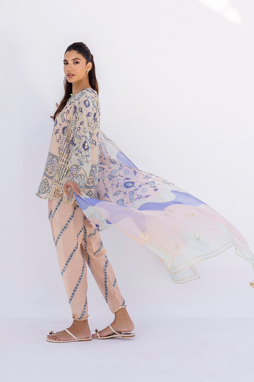 https://cdn.shopify.com/s/files/1/0588/3661/5221/files/35A9995_be44b40e-d1cb-40c8-805d-79e7a29be213.jpg?v=1746172696