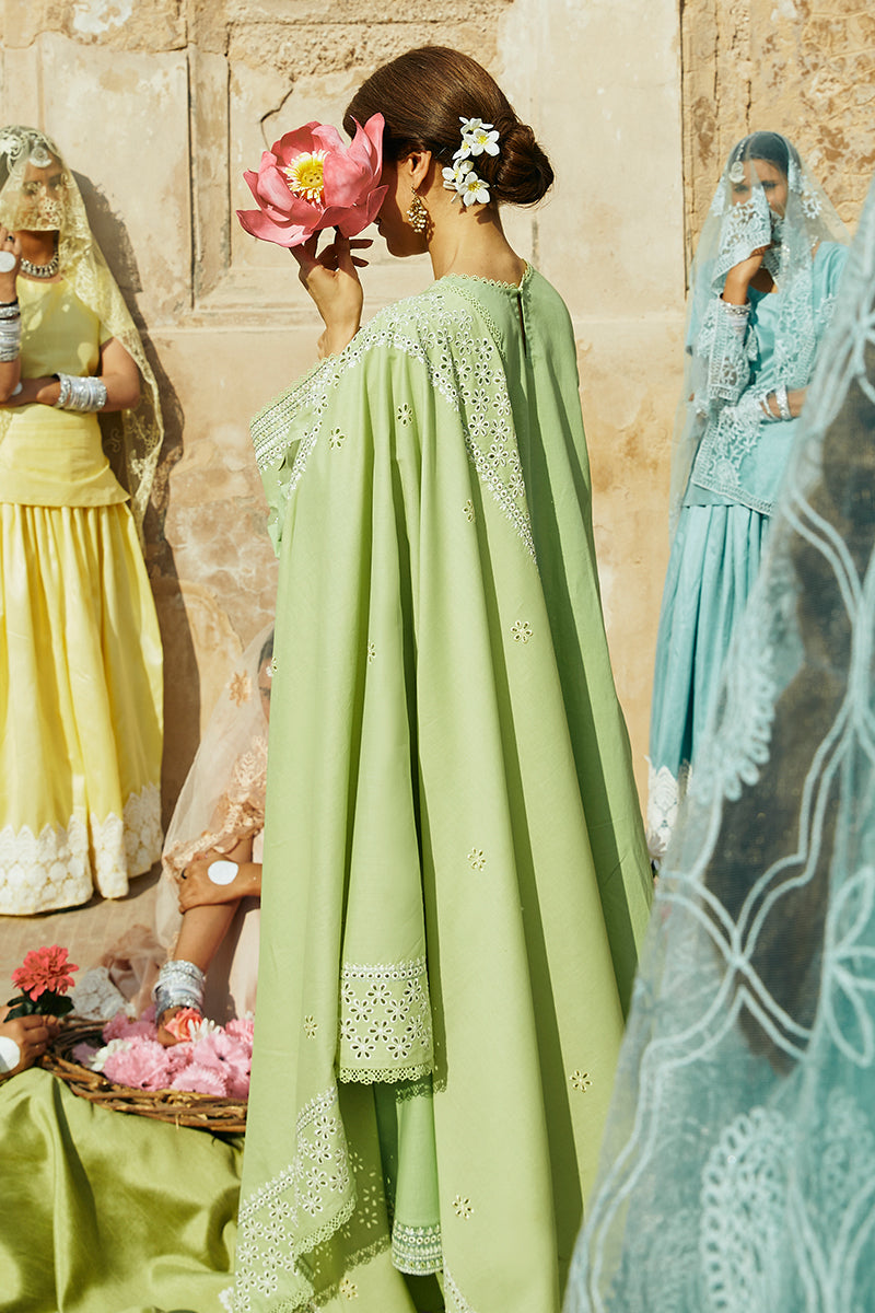 https://cdn.shopify.com/s/files/1/0178/4492/8612/files/35_5b8d9e31-b602-404e-b568-f26f90f3ace2.jpg?v=1707899150