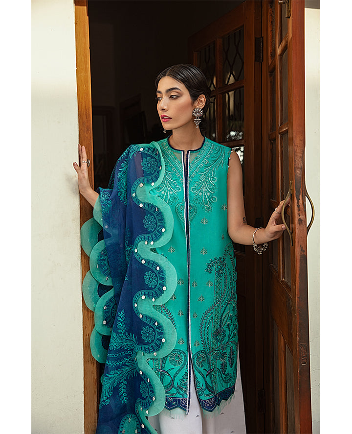Plain Chiffon Dupatta with Trimmings