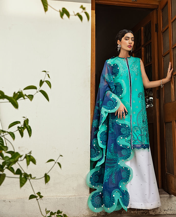 Plain Chiffon Dupatta with Trimmings