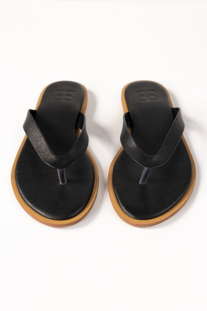 Black Slipper