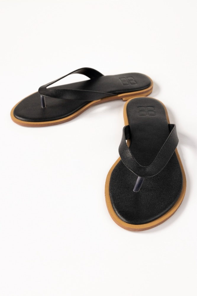 Black Slipper