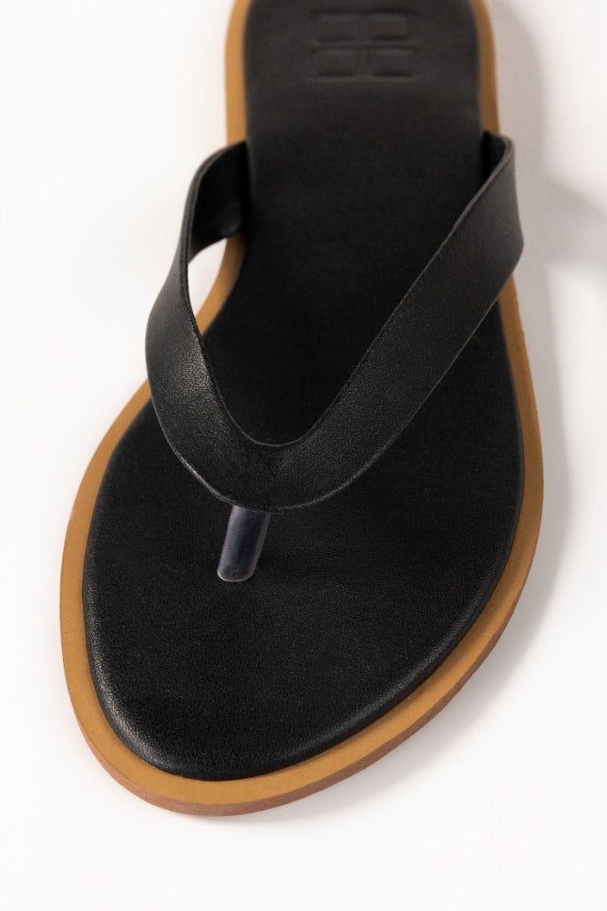 Black Slipper