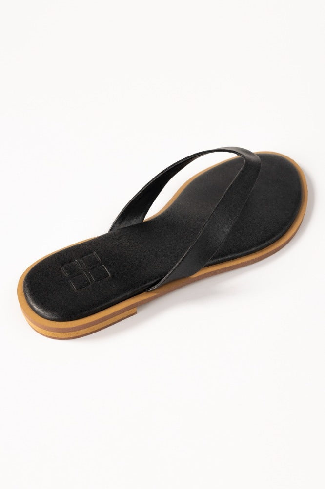 Black Slipper