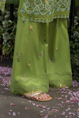 Design 3A SN Basics 2025 UNSTITCHED