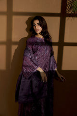 Design 3A Winter Shawl 2025 Unstitched
