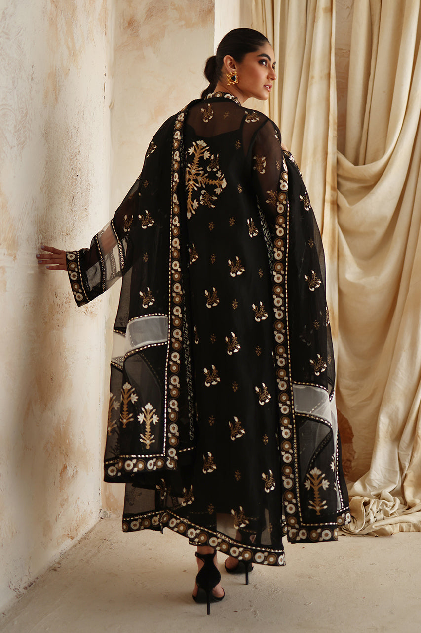 Nadia Farooqui