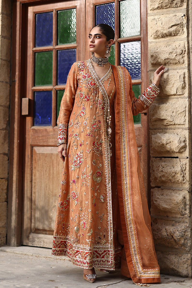 Nargis Rtd