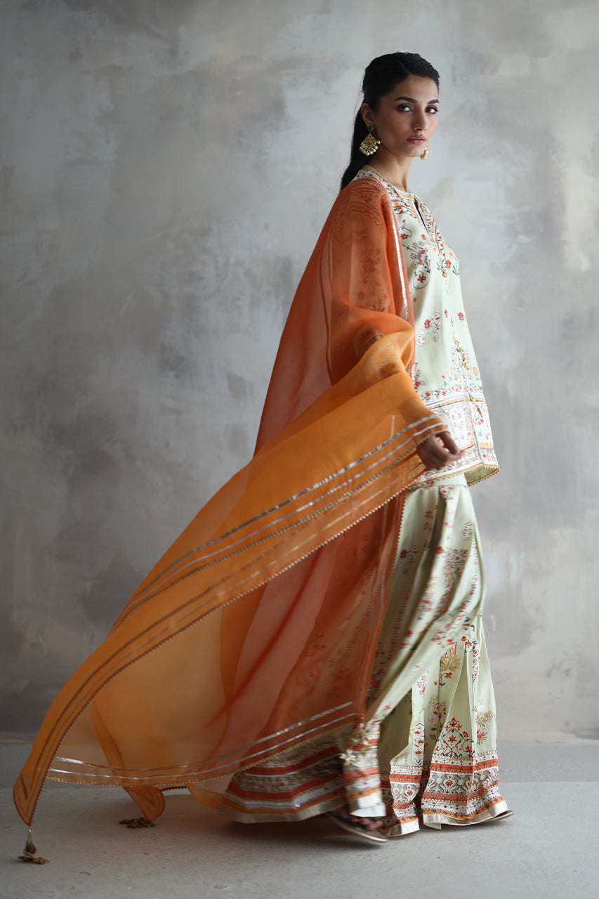 Asya - RTD