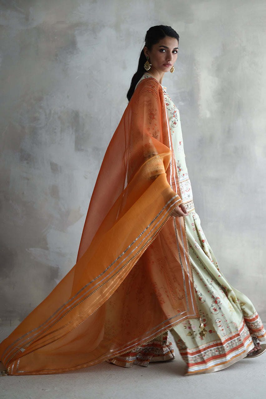 Asya - RTD
