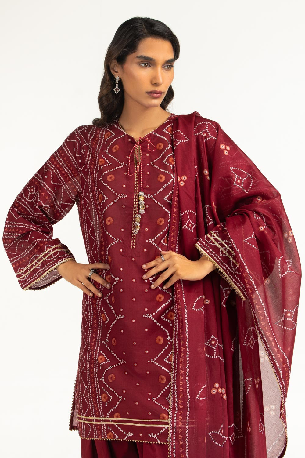 https://cdn.shopify.com/s/files/1/0706/3253/8159/files/3PCPrintedLawnSuitIUSTKSD-2141_mid.jpg?v=1774945281