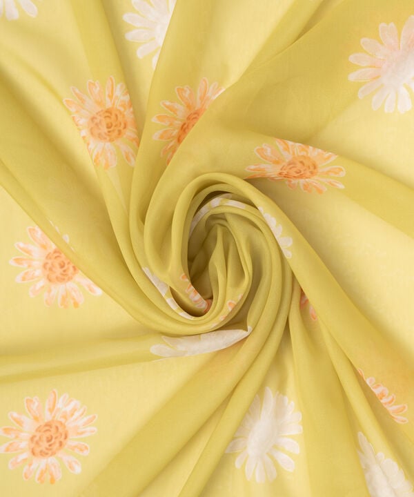 Printed Organza Dupatta