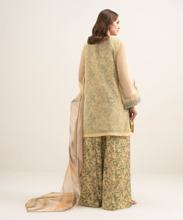 3 Piece - Embroidered Organza Suit
