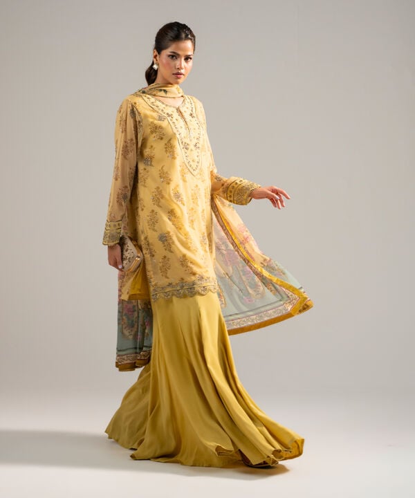 3 Piece - Embroidered Chiffon Suit