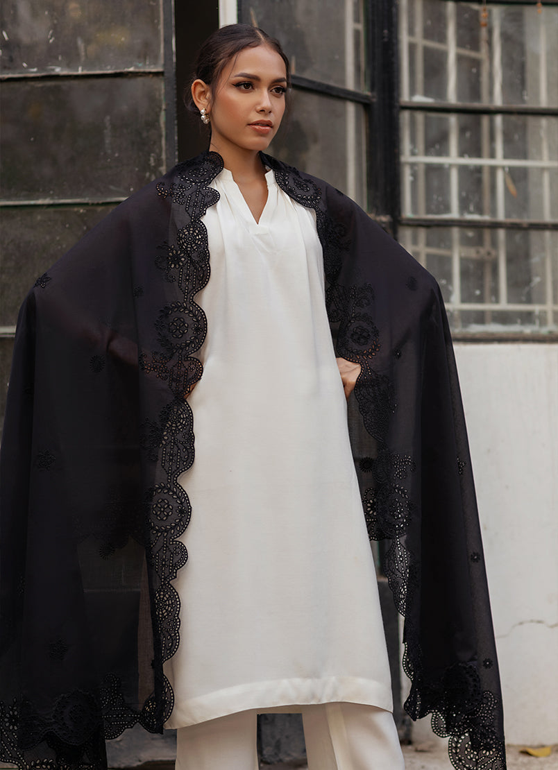 Embroidered Dupatta - 13186151201010