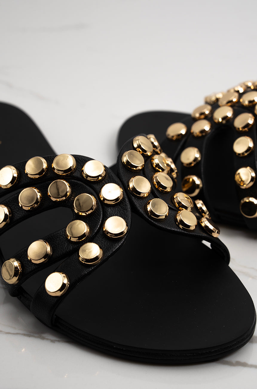 Zee Studs 3.0