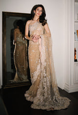 Placid - Saree & Corset