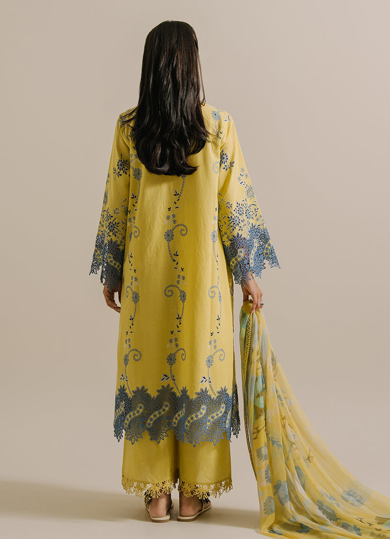 3 Pc Embroidered Suit