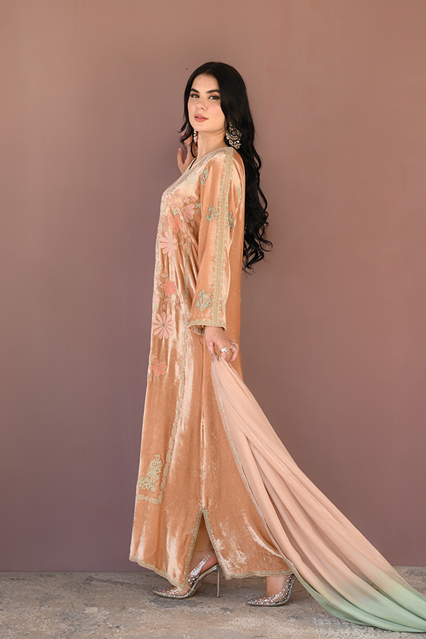 INARA