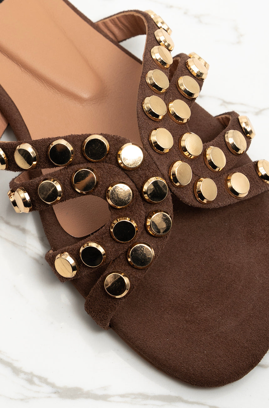 Zee Studs 3.0