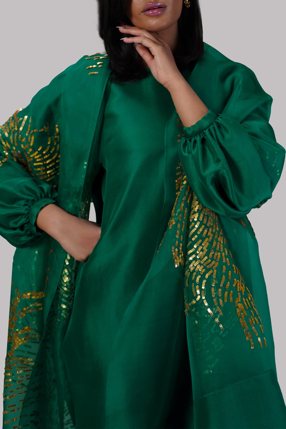 Galapagos Green Embellished Raw Silk Set