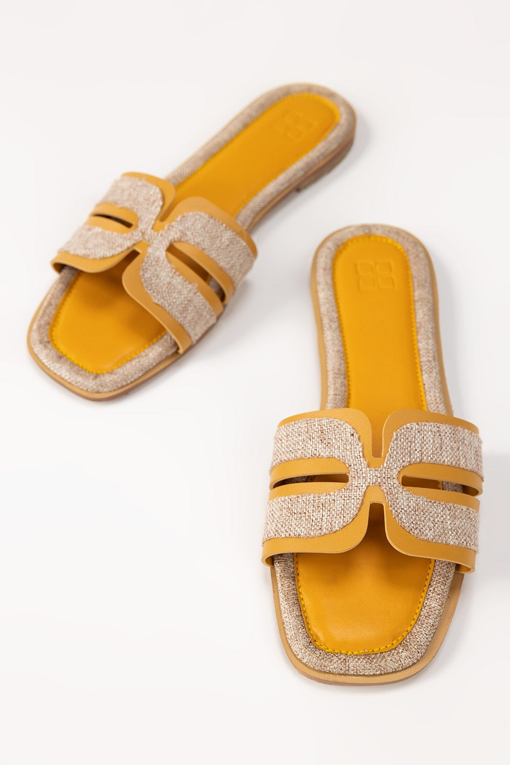 Yellow Slipper