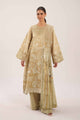Embroidered Chiffon Saree