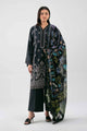 2 Piece Embroidered Organza Suit