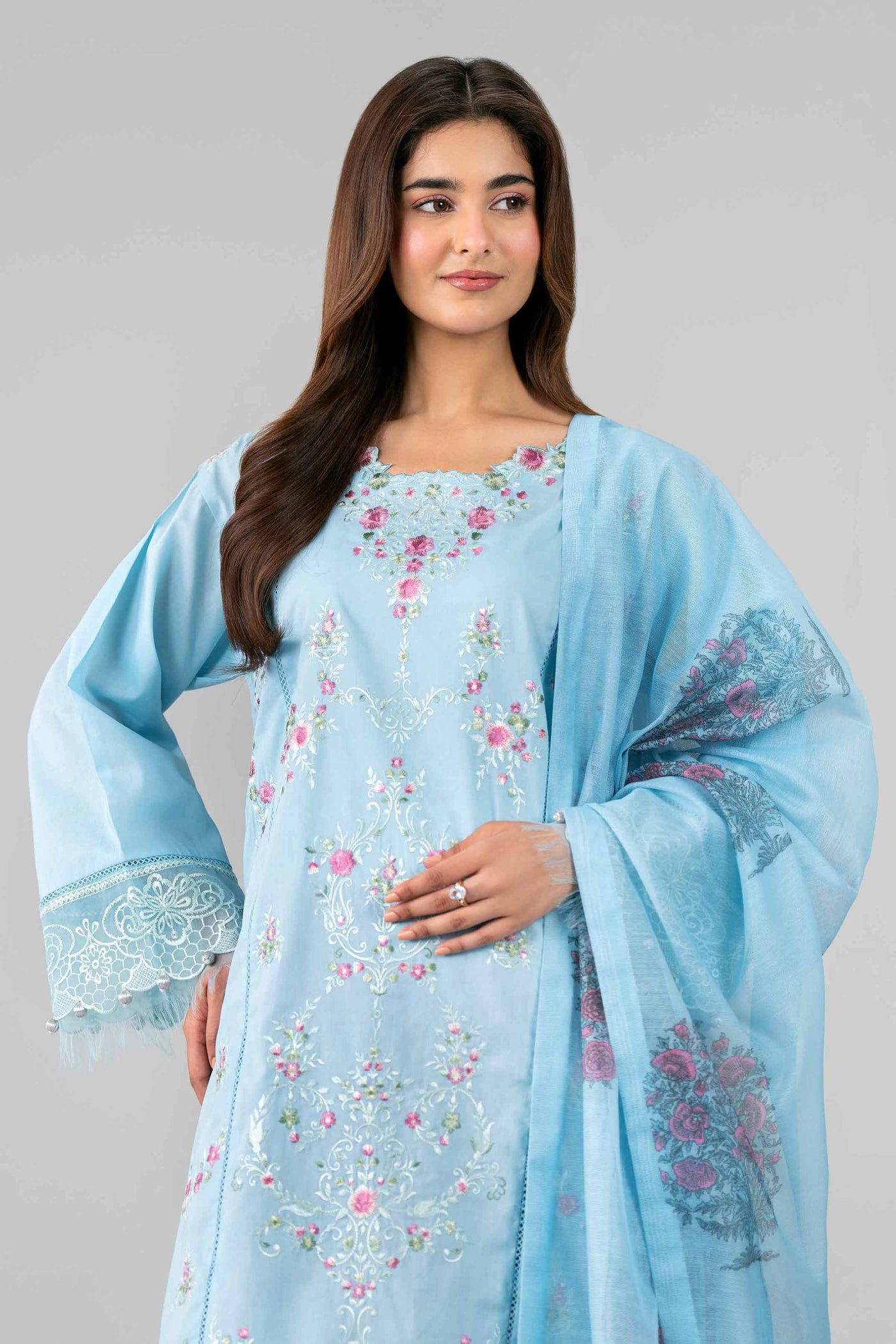 Embroidered Chiffon Saree