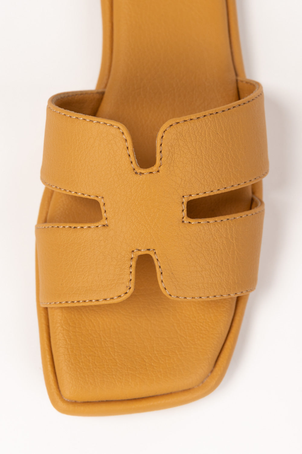 Yellow Slipper