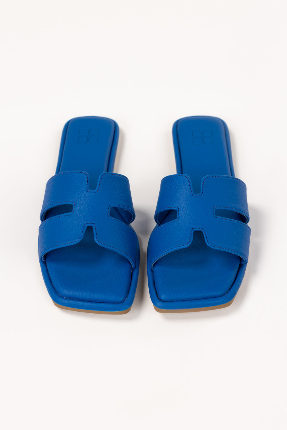 Blue Slipper