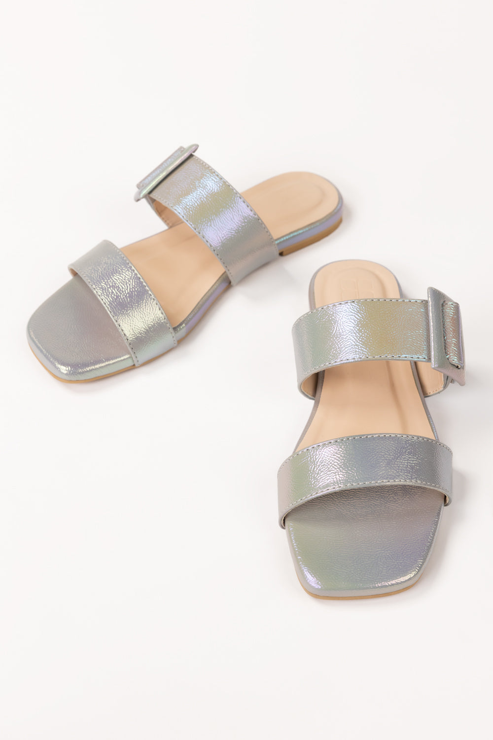 Grey Slipper