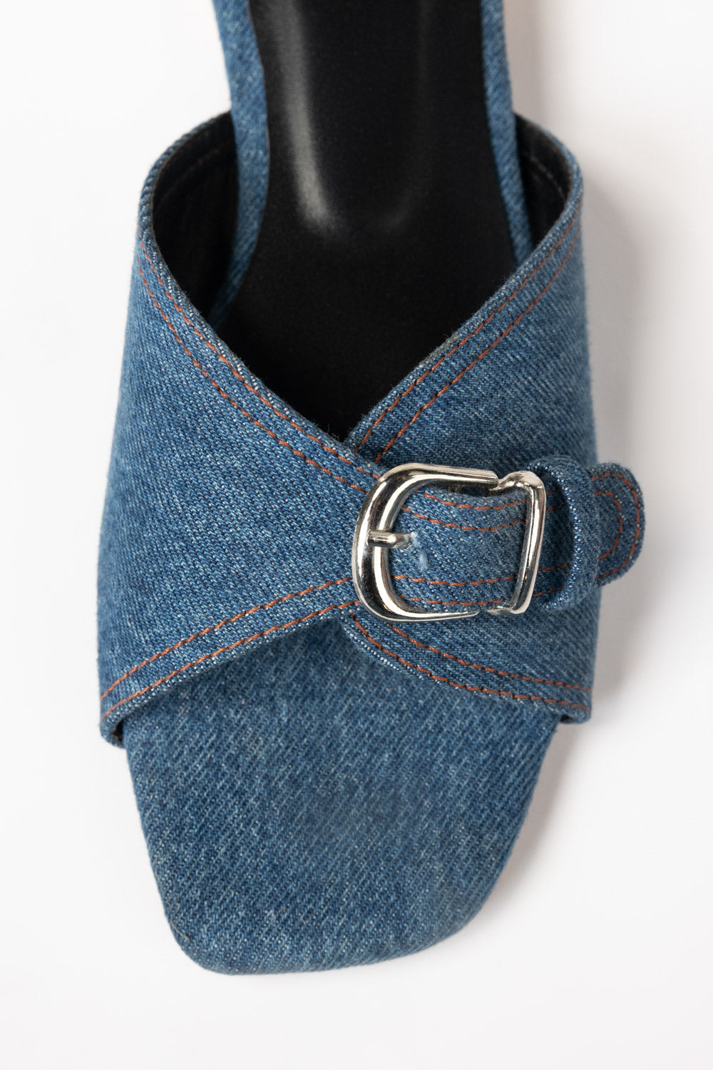 Blue Slipper