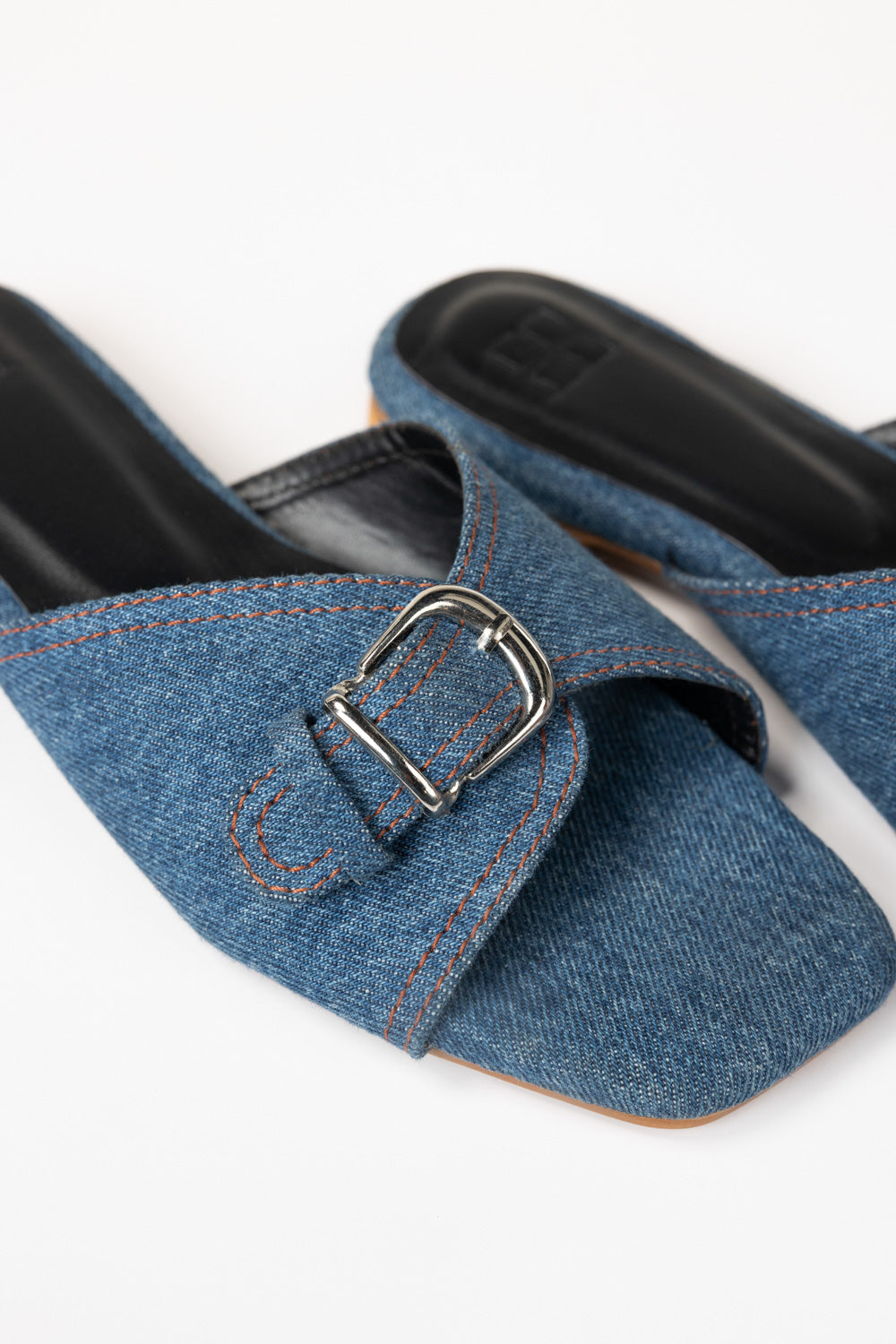 Blue Slipper