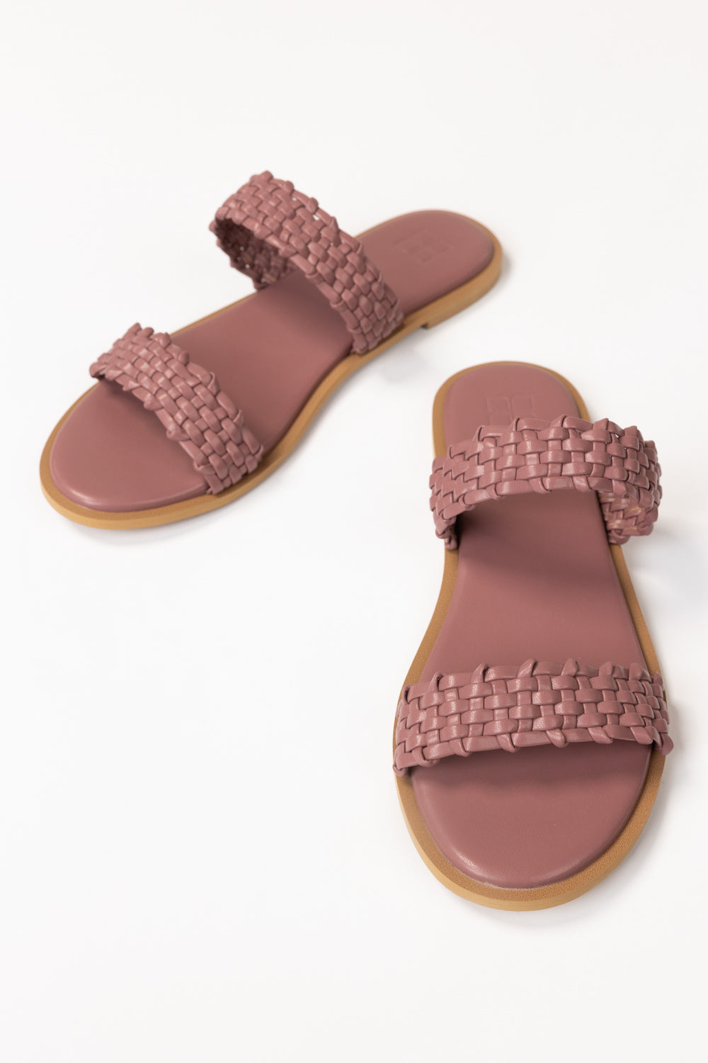 Purple Slipper